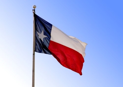 flag-of-texas-on-pole