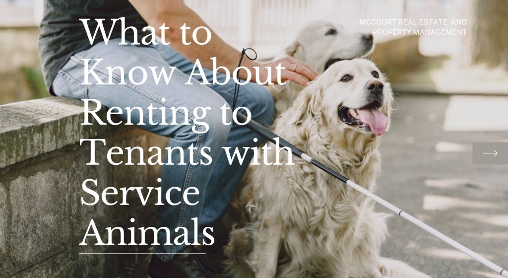 What to Know About Renting to Tenants with Service Animals